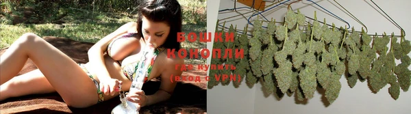 PSILOCYBIN Балахна