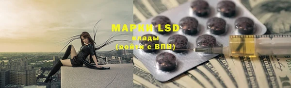 PSILOCYBIN Балахна