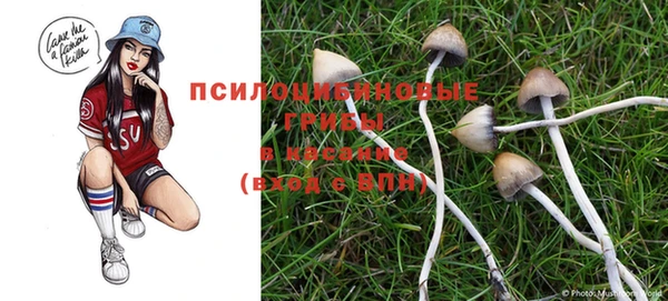 PSILOCYBIN Балахна