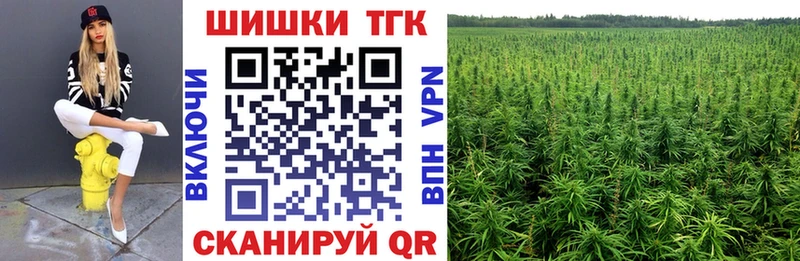 Каннабис ГИДРОПОН  где купить   Кондрово 